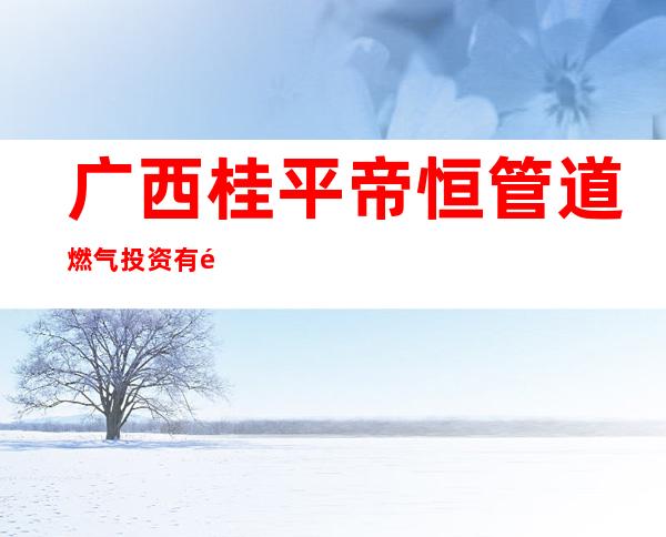 广西桂平帝恒管道燃气投资有限公司